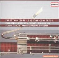 20th Century Bassoon Concertos